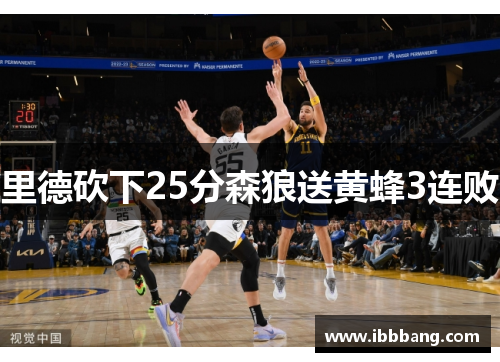里德砍下25分森狼送黄蜂3连败
